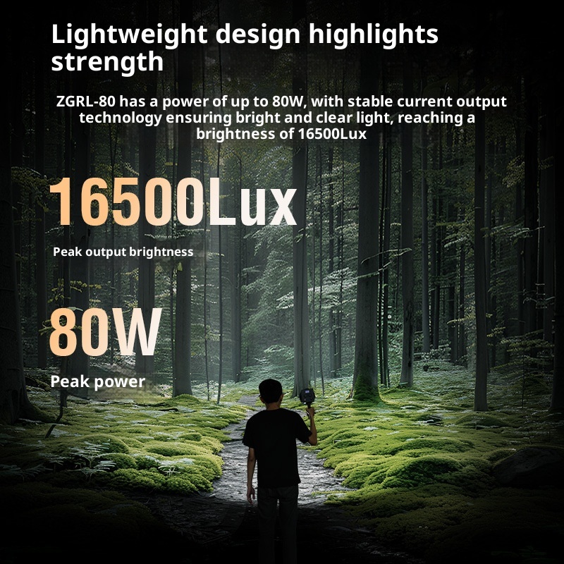 ZGRL80 80W COB LED-videolamp H - Photography Lighting For Outdoors recensie en prijs